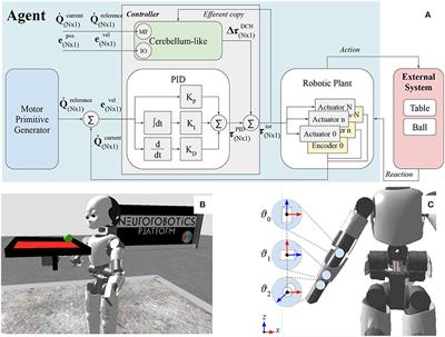 A Biomimetic Control Method Increases the Adaptability of a Humanoid Robot Acting in a Dynamic Environment